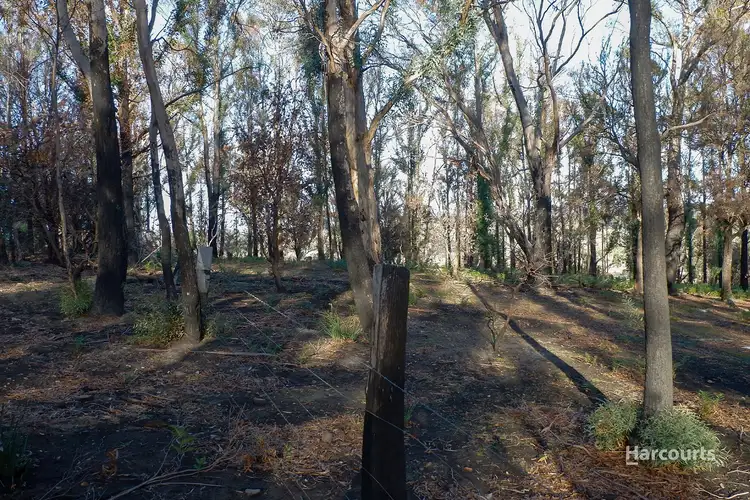 Seventh view of Homely land listing, Buckland Road, Levendale TAS 7120
