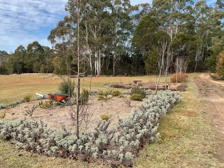 Fifth view of Homely house listing, 1033 Little River Road, Mongarlowe NSW 2622
