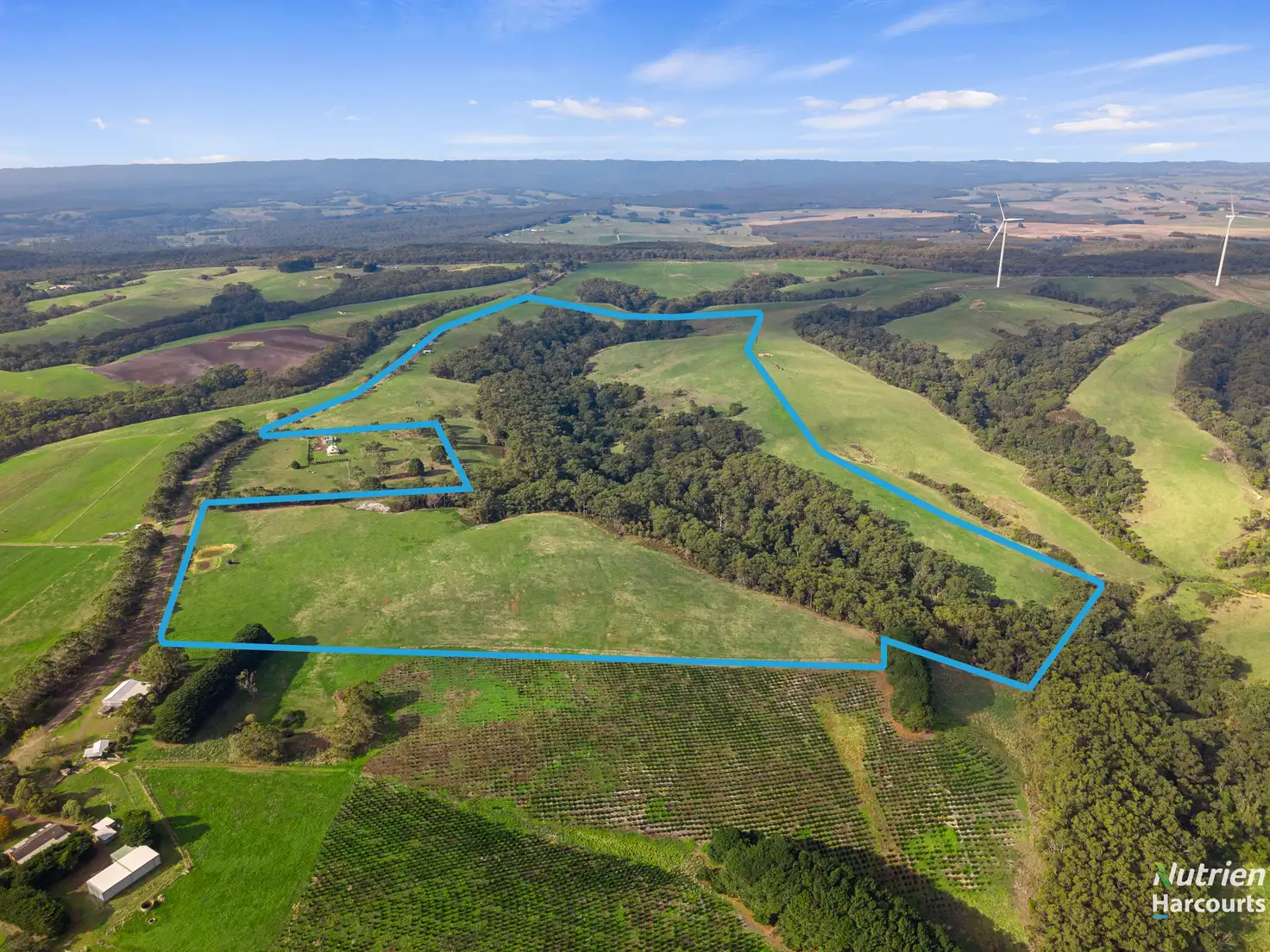 Main view of Homely rural property listing, 201 Turrong Road, Cooriemungle VIC 3268