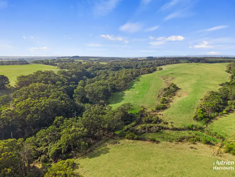 Third view of Homely rural property listing, 201 Turrong Road, Cooriemungle VIC 3268