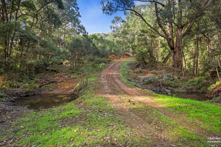 Fifth view of Homely rural property listing, 201 Turrong Road, Cooriemungle VIC 3268