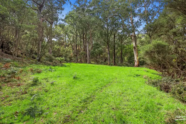 Seventh view of Homely rural property listing, 201 Turrong Road, Cooriemungle VIC 3268