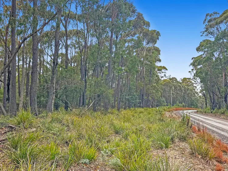 PID 7670082 German Town Road, St Marys TAS 7215