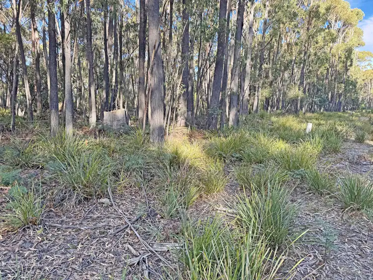 Third view of Homely land listing, PID 7670082 German Town Road, St Marys TAS 7215