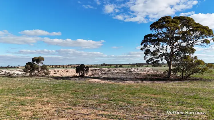 Second view of Homely rural property listing, Lot 20259 Elabbin East Road, Talgomine WA 6490