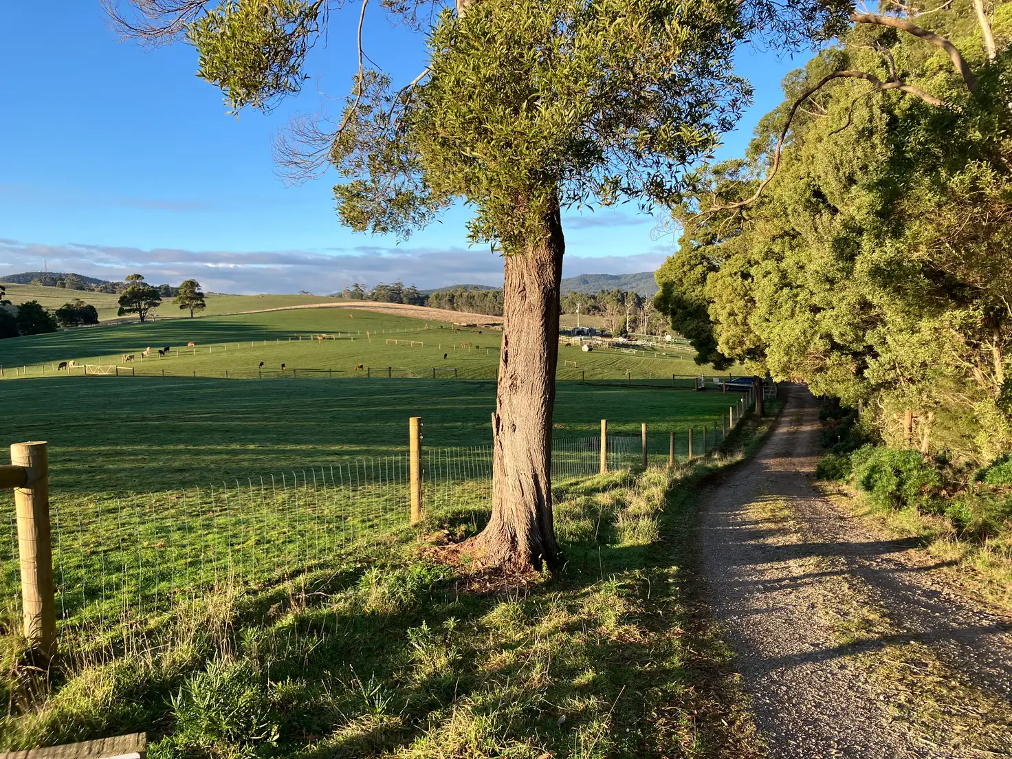 Main view of Homely rural property listing, 223 Pollards Road, Rocky Cape TAS 7321