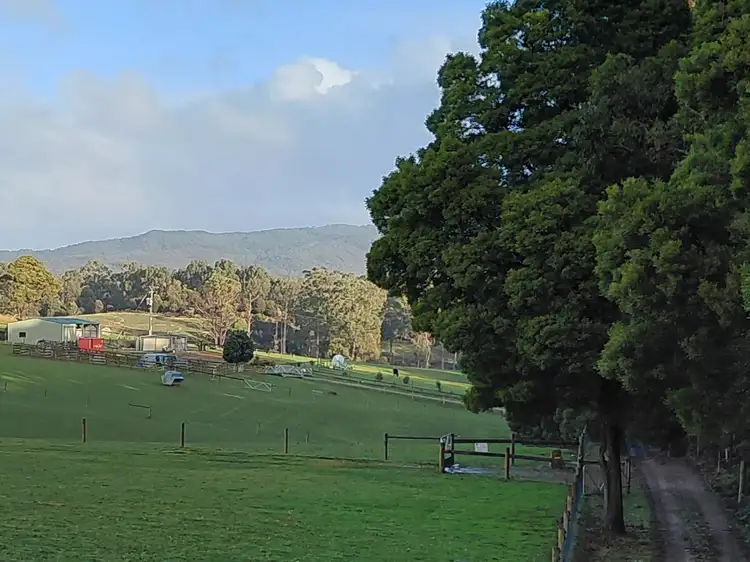 Fifth view of Homely rural property listing, 223 Pollards Road, Rocky Cape TAS 7321