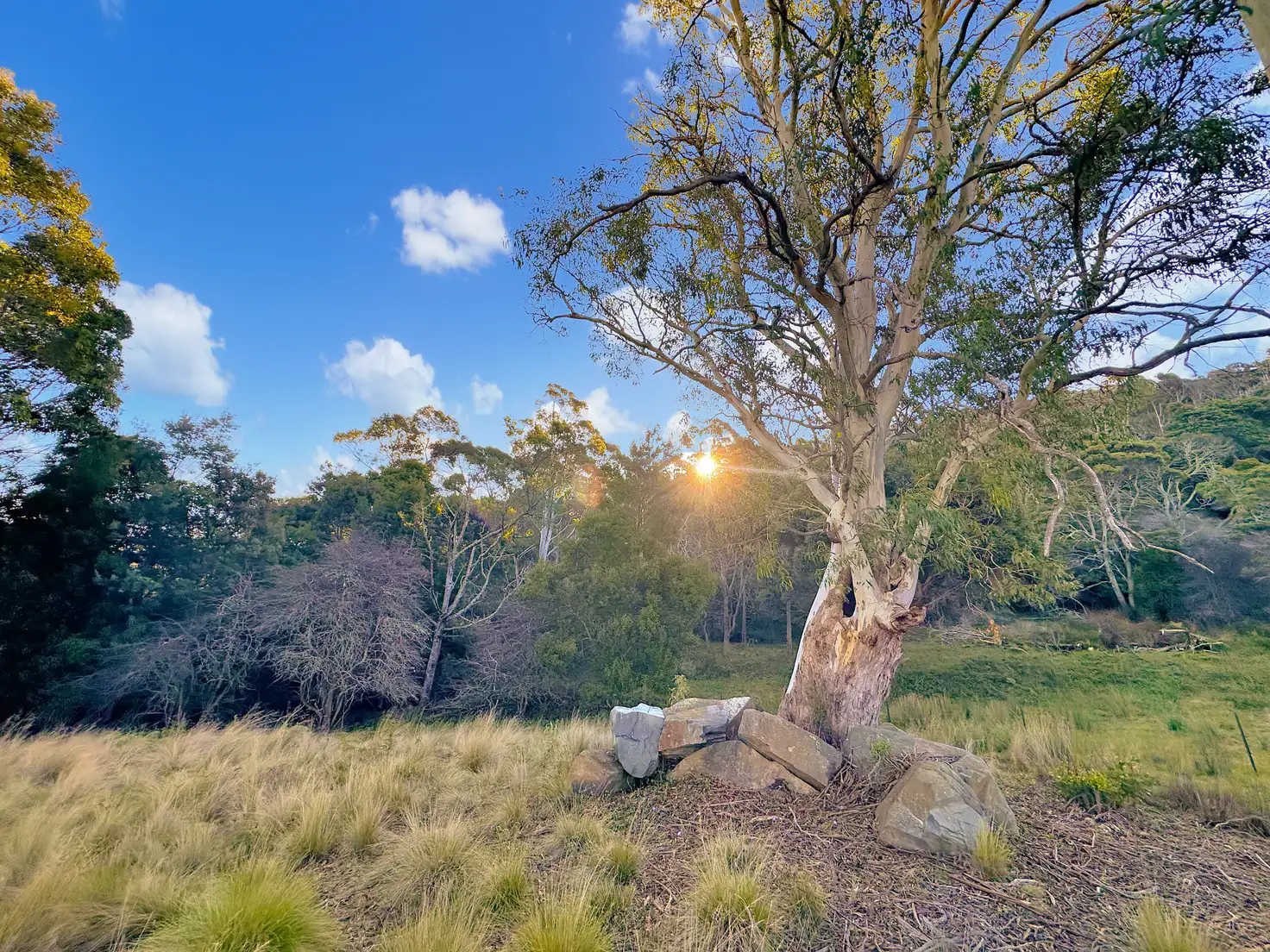 Main view of Homely land listing, 14 Crosby Street, Cornwall TAS 7215