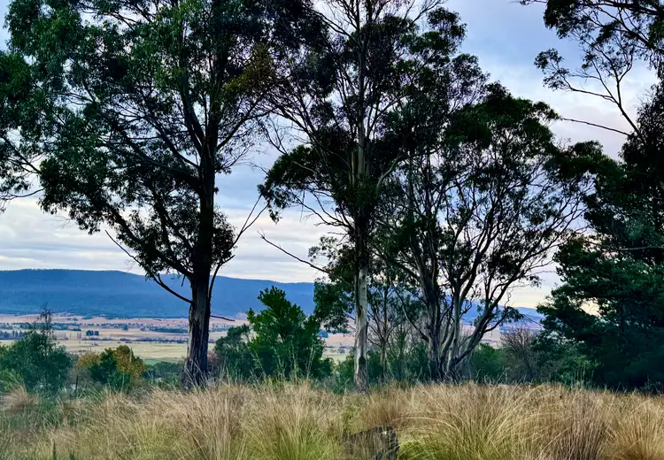 Second view of Homely land listing, 14 Crosby Street, Cornwall TAS 7215