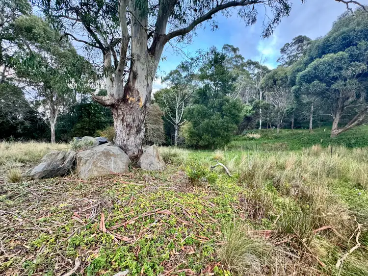 Fourth view of Homely land listing, 14 Crosby Street, Cornwall TAS 7215