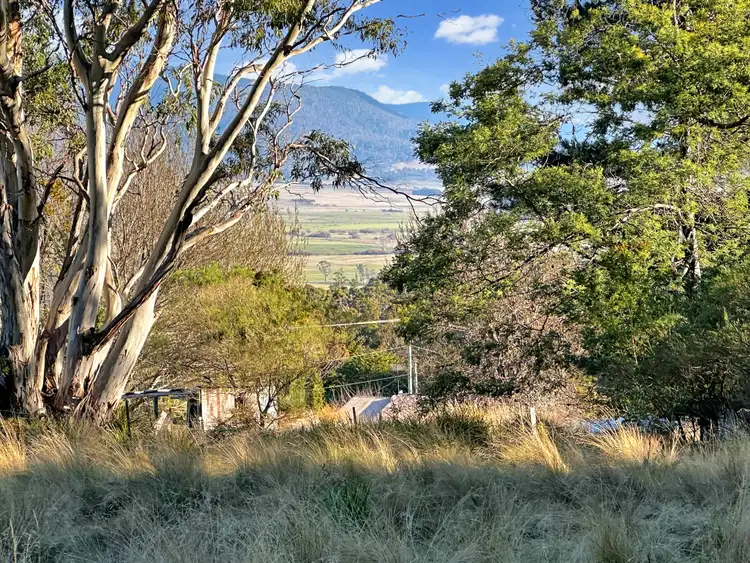 Fifth view of Homely land listing, 14 Crosby Street, Cornwall TAS 7215
