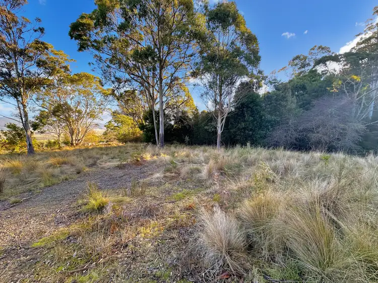 Sixth view of Homely land listing, 14 Crosby Street, Cornwall TAS 7215