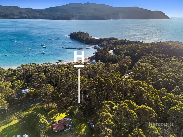 Second view of Homely land listing, 334 Blowhole Road, Eaglehawk Neck TAS 7179