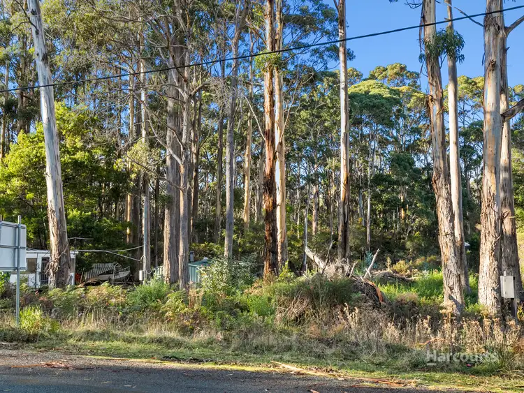 Fifth view of Homely land listing, 334 Blowhole Road, Eaglehawk Neck TAS 7179