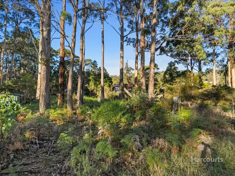 Sixth view of Homely land listing, 334 Blowhole Road, Eaglehawk Neck TAS 7179