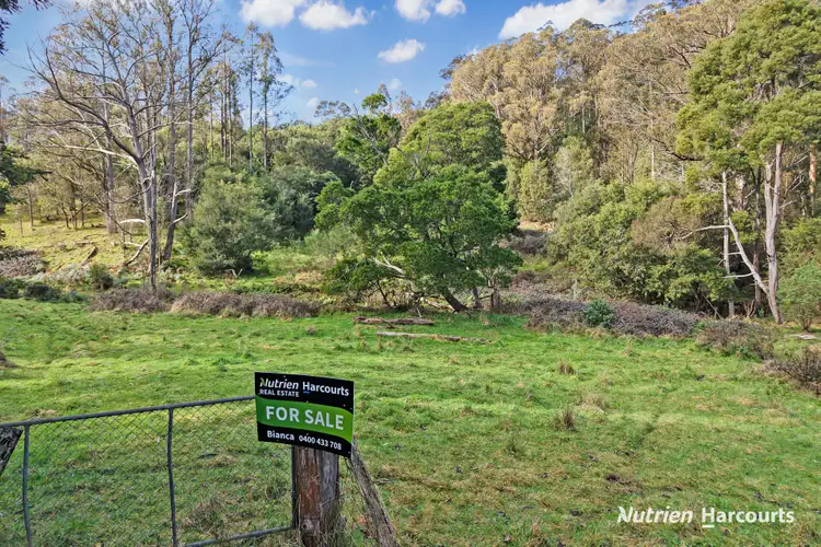Main view of Homely rural property listing, 1 Widdons Road, Devon North VIC 3971