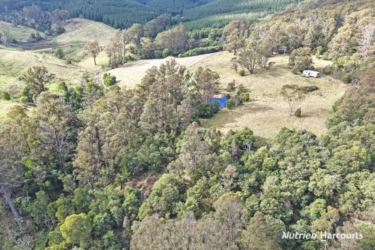 Fifth view of Homely rural property listing, 1 Widdons Road, Devon North VIC 3971