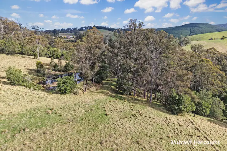 Sixth view of Homely rural property listing, 1 Widdons Road, Devon North VIC 3971
