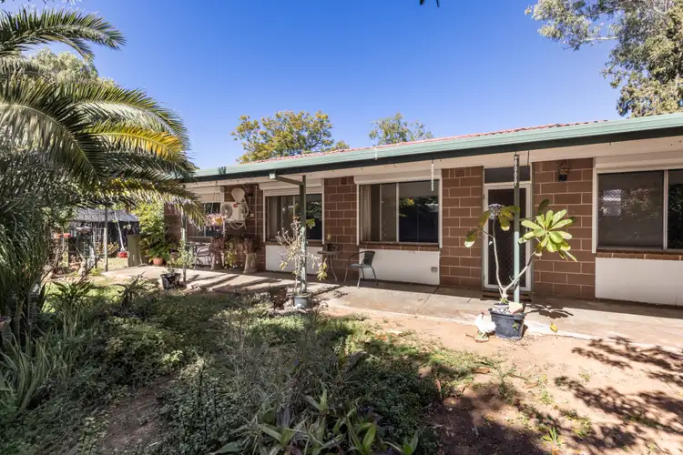 Main view of Homely house listing, 17 Boucaut Street, Gillen NT 870