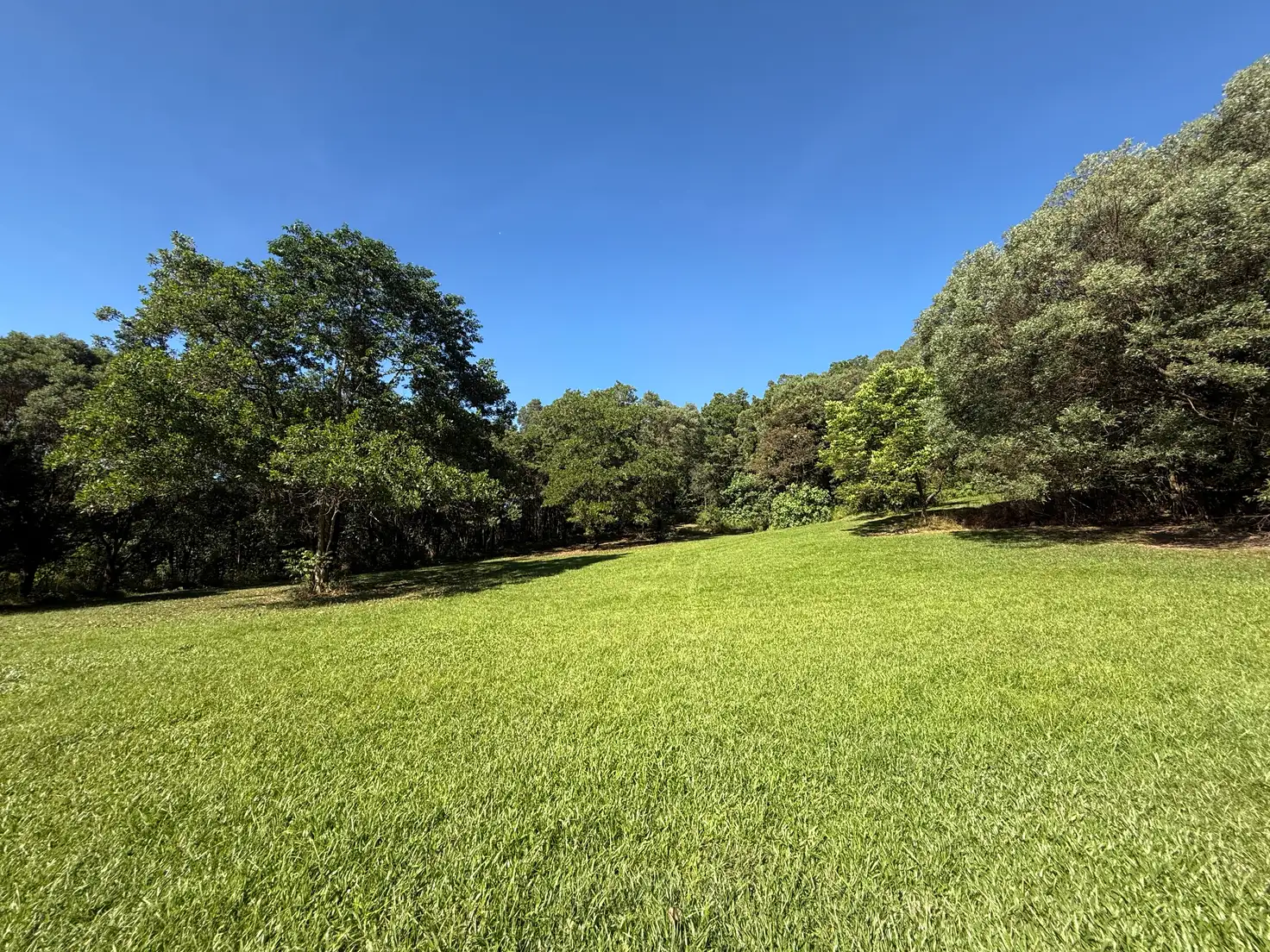Main view of Homely rural property listing, Address available on request