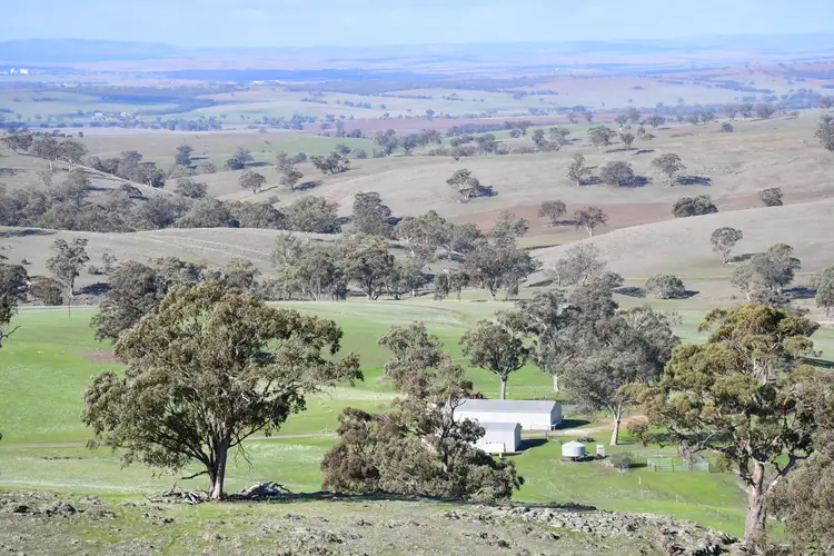 Main view of Homely rural property listing, Section 368 Survey Road, Melrose SA 5483