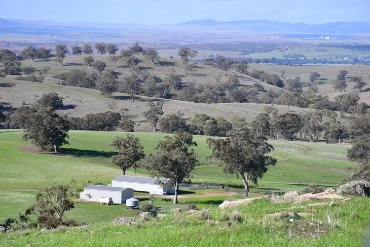 Second view of Homely rural property listing, Section 368 Survey Road, Melrose SA 5483