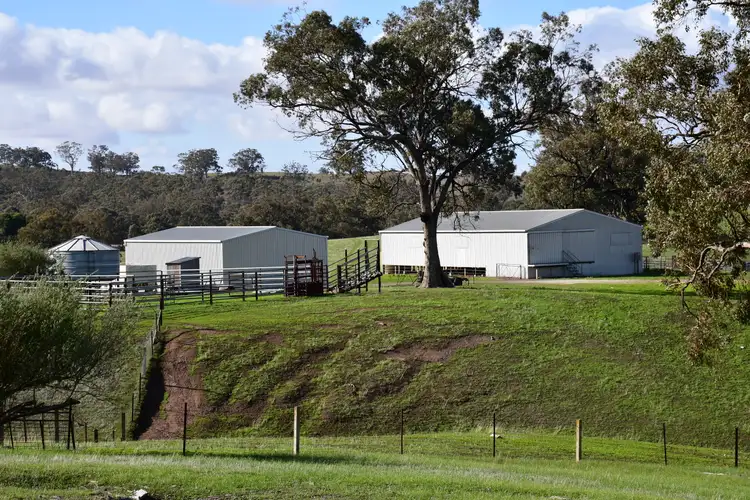 Fourth view of Homely rural property listing, Section 368 Survey Road, Melrose SA 5483