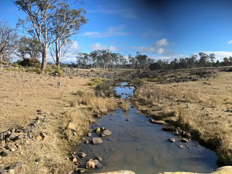 Second view of Homely rural property listing, 1561 Dennistoun Road, Bothwell TAS 7030