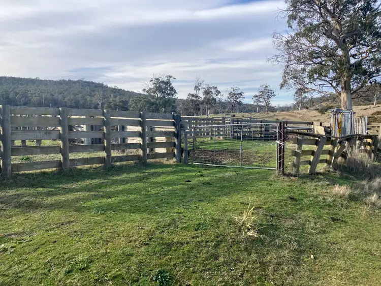 Fifth view of Homely rural property listing, 1561 Dennistoun Road, Bothwell TAS 7030