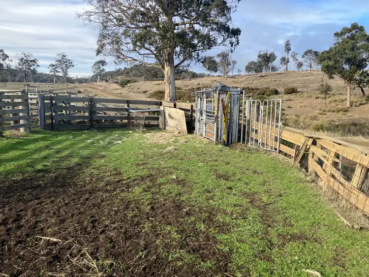 Sixth view of Homely rural property listing, 1561 Dennistoun Road, Bothwell TAS 7030