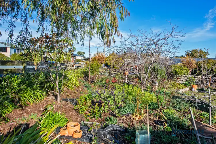 Fourth view of Homely land listing, 19 Tucker Avenue, Devonport TAS 7310