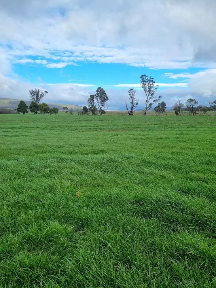 Second view of Homely rural property listing, 40 Davies Road, Parkham TAS 7304
