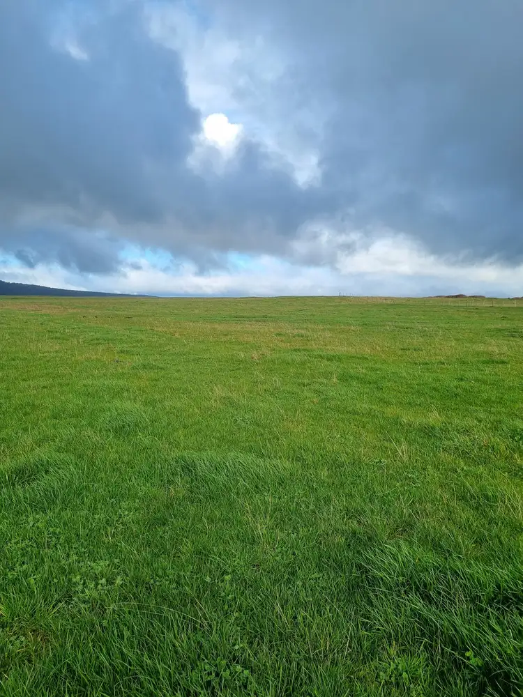 Fourth view of Homely rural property listing, 40 Davies Road, Parkham TAS 7304