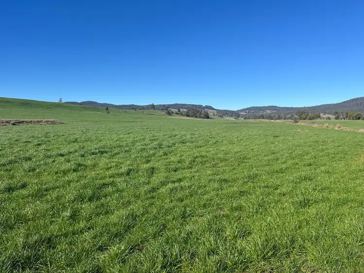 Fifth view of Homely rural property listing, 40 Davies Road, Parkham TAS 7304