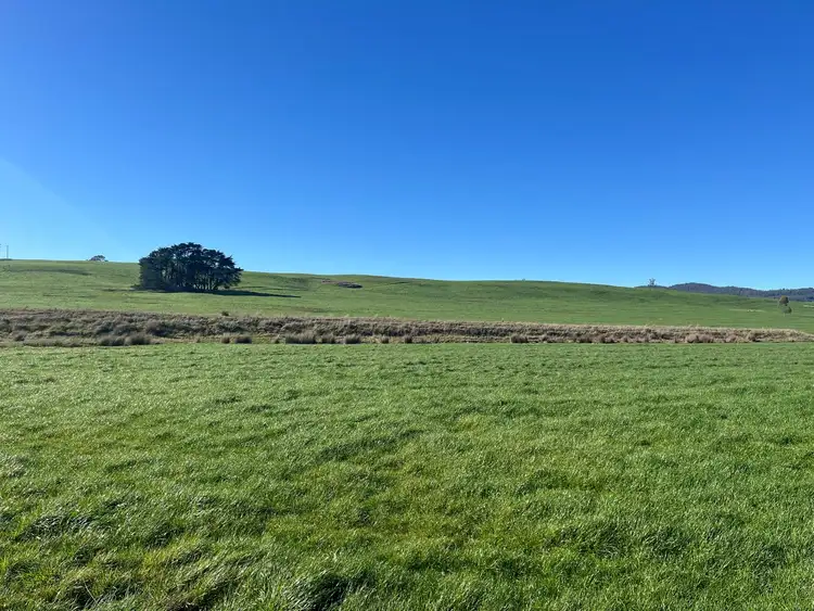Sixth view of Homely rural property listing, 40 Davies Road, Parkham TAS 7304