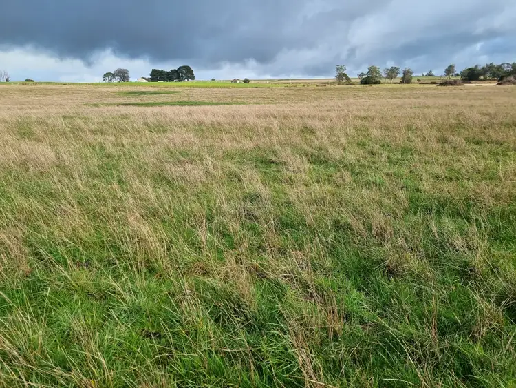 Seventh view of Homely rural property listing, 40 Davies Road, Parkham TAS 7304
