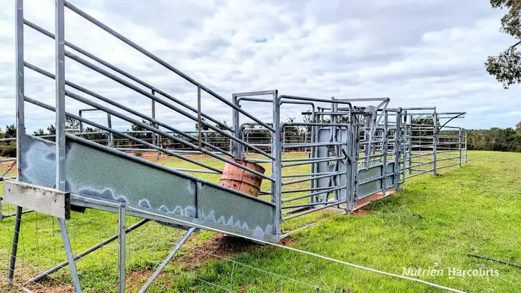 Seventh view of Homely rural property listing, Lot 10 Woodbine Road, Regans Ford WA 6507