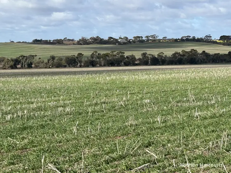 Third view of Homely rural property listing, . "Red Hill", Bagnalls Road, Dumbleyung WA 6350