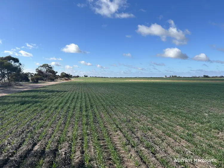 Main view of Homely rural property listing, . "Morgans", White Well & Mt Pleasant Roads, Dumbleyung WA 6350
