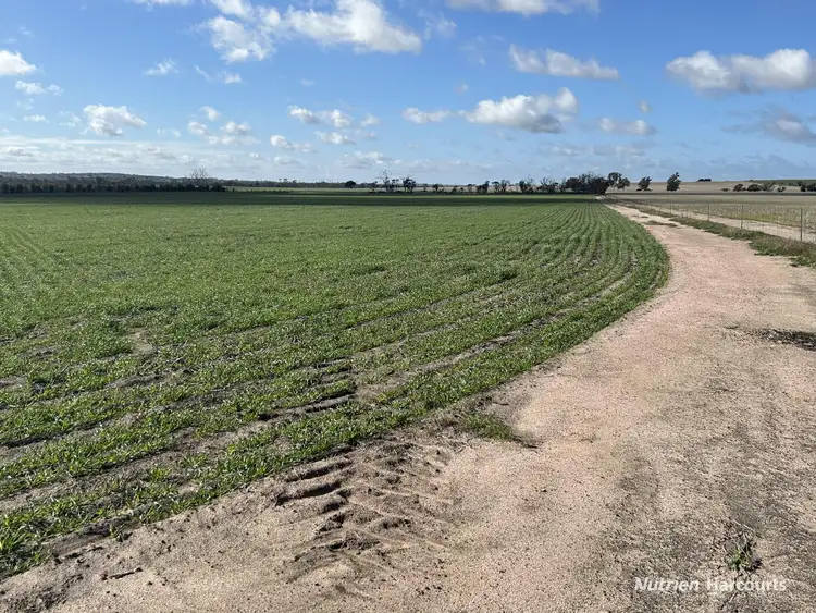 Second view of Homely rural property listing, . "Morgans", White Well & Mt Pleasant Roads, Dumbleyung WA 6350