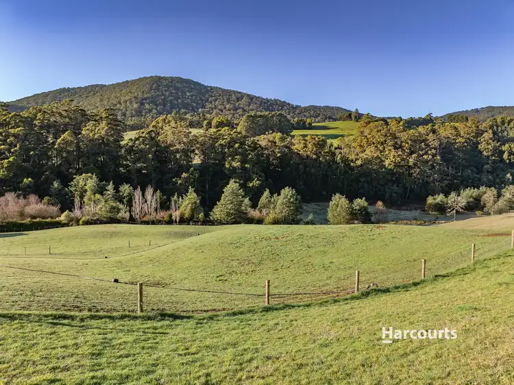 Second view of Homely house listing, 91 Patons Road, Penguin TAS 7316
