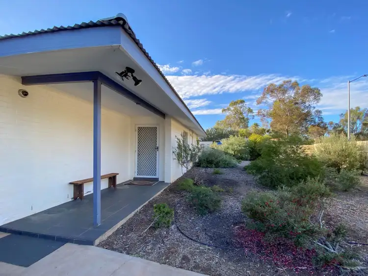 7 Bougainvilia Avenue, East Side NT 870