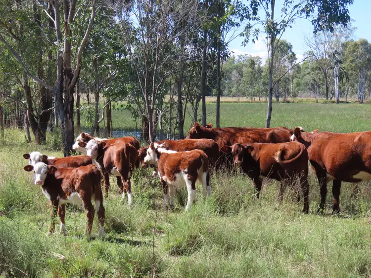 Second view of Homely rural property listing, Proposed Lot 62 Holmes Road, Chinchilla QLD 4413