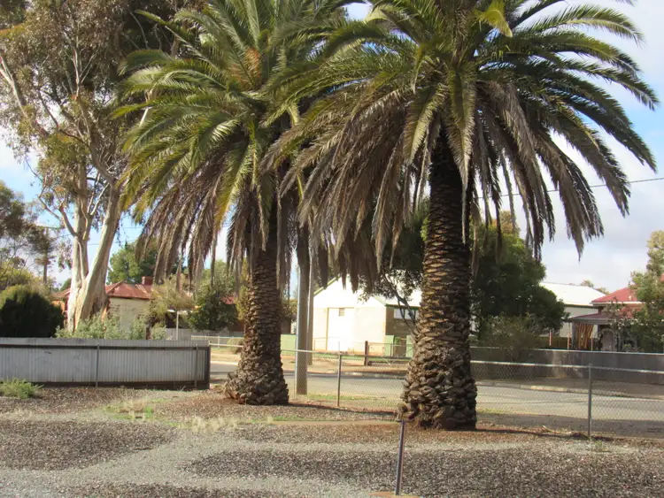 Fourth view of Homely land listing, 139 Railway Terrace, Peterborough SA 5422
