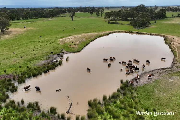 Second view of Homely rural property listing, Lots 1 & 2 Rosedale-Flynns Creek Road, Flynn VIC 3844