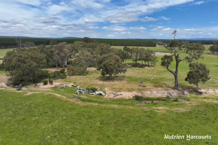 Third view of Homely rural property listing, Lots 1 & 2 Rosedale-Flynns Creek Road, Flynn VIC 3844