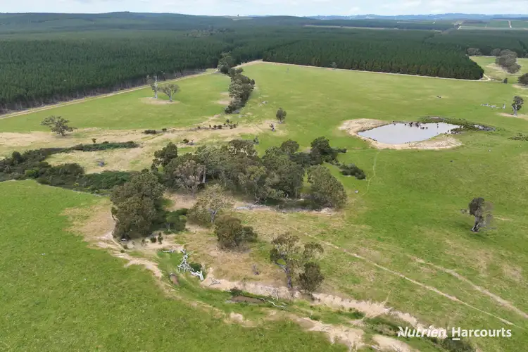 Fourth view of Homely rural property listing, Lots 1 & 2 Rosedale-Flynns Creek Road, Flynn VIC 3844