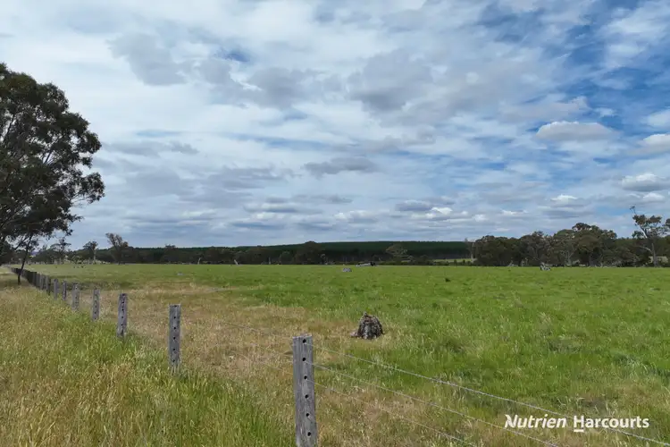 Fifth view of Homely rural property listing, Lots 1 & 2 Rosedale-Flynns Creek Road, Flynn VIC 3844