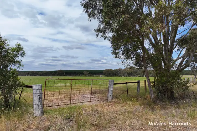 Sixth view of Homely rural property listing, Lots 1 & 2 Rosedale-Flynns Creek Road, Flynn VIC 3844
