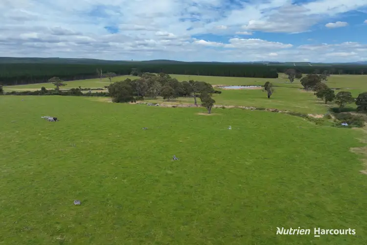 Seventh view of Homely rural property listing, Lots 1 & 2 Rosedale-Flynns Creek Road, Flynn VIC 3844